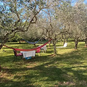 Gabriela Apartament Poreč